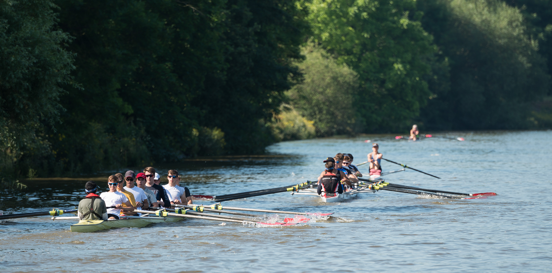 Team rowers on the tidal Thames