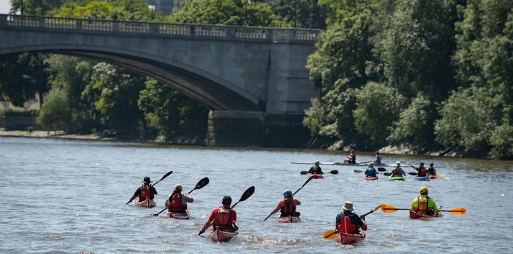 Kayakers on the tidal River Thames