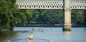 Scullers on the Thames