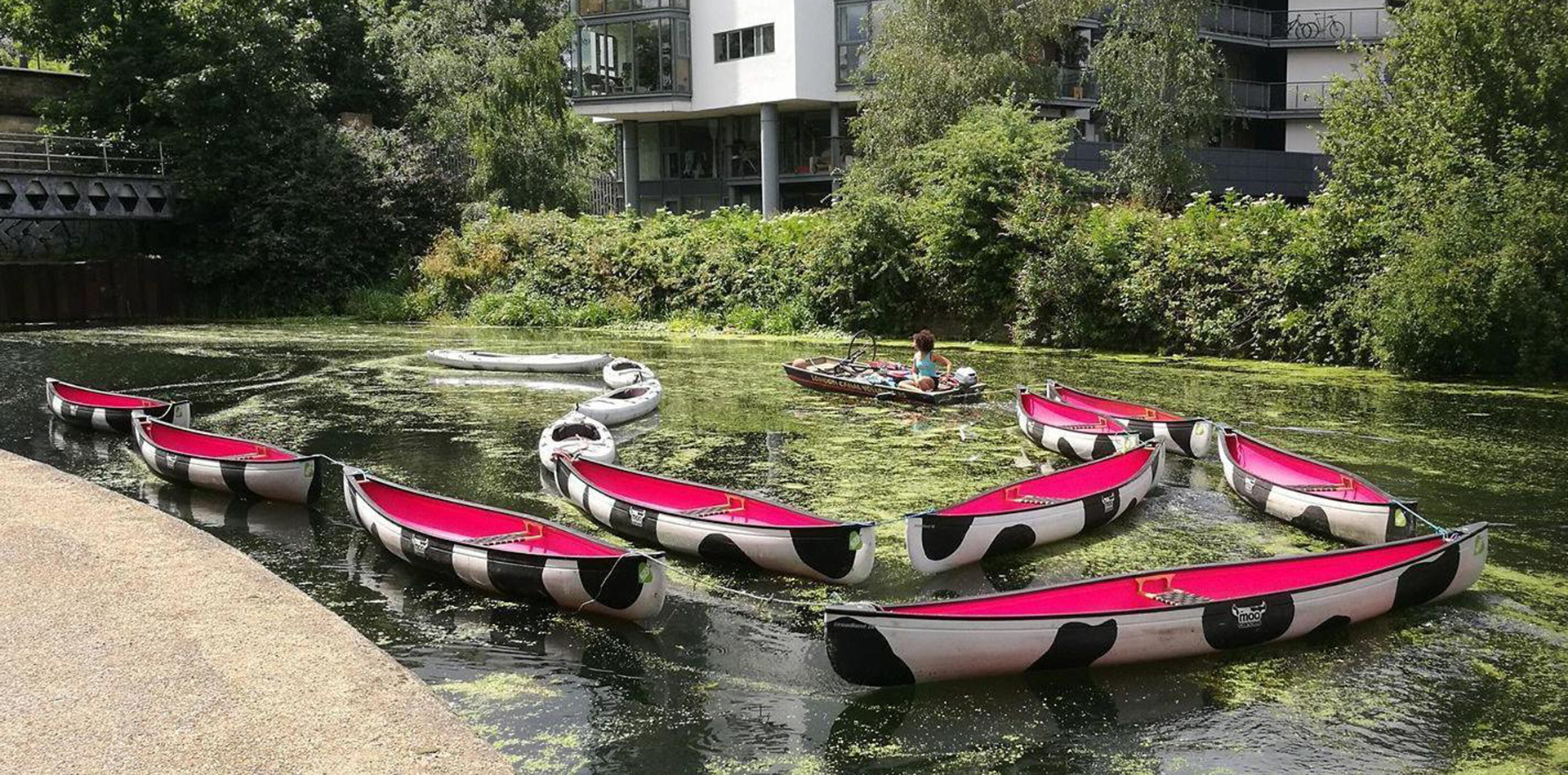 Explore inland waterways with Moo Canoes